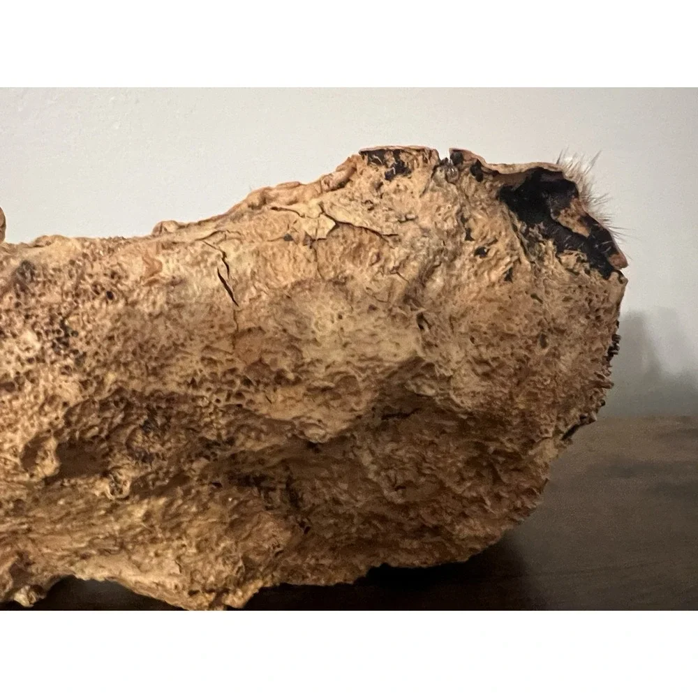 Faux Fur Woodland Critters in Cork Bark Log Display‎ Rustic Cabin Decor 10